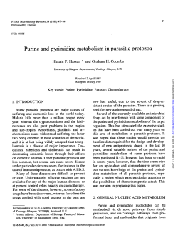 Purine and pyrimidine metabolism in parasitic protozoa