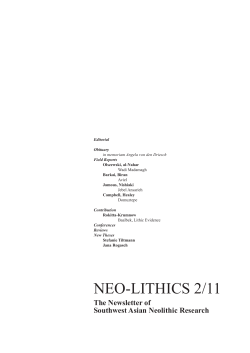 NEO-LITHICS 2/11