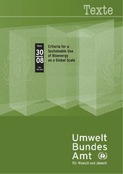 Criteria for a Sustainable Use of Bioenergy on a Global Scale