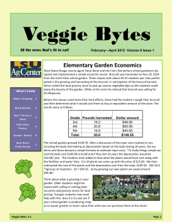 Elementary Garden Economics