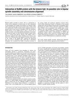 Interaction of NuMA protein with the kinesin Eg5: its possible role in