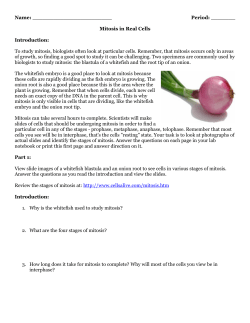 Mitosis in Real Cells