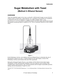 Sugar metabolism with yeast