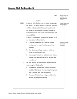 Sample MLA Outline (Levi)
