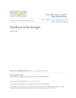 Heartbreak on the Serengeti