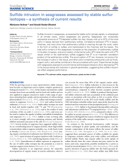 Sulfide intrusion in seagrasses assessed by stable sulfur isotopes