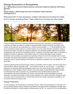Energy Economics in Ecosystems
