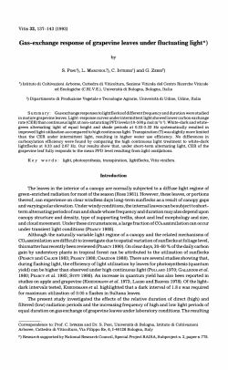 Gas-exchange response of grapevine leaves under fluctuating