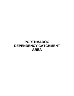 Development briefs: Porthmadog DCA