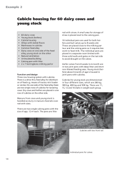 Cubicle housing for 60 dairy cows and young stock