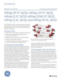 HiPrep SP FF 16/10, HiPrep CM FF 16/10, HiPrep Q FF 16/10