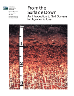 From the Surface Down - University of Illinois Extension