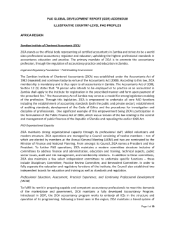 PAO Global Development Report (GDR) Addendum