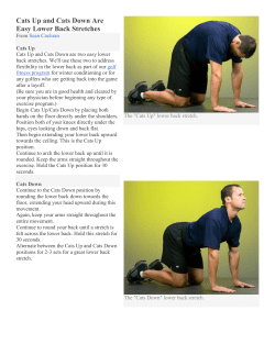 Cats Up And Cats Down Are Easy Lower Back Stretches