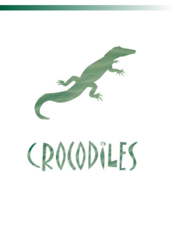 Crocodiles - Shark Reef