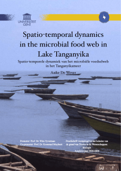 Spatio-temporal dynamics in the microbial food web in Lake
