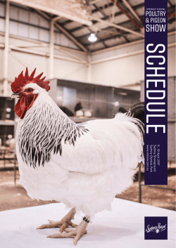 poultry - Royal Agricultural Society of NSW