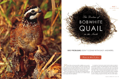 The Decline of Bobwhite Quail - North Carolina Wildlife Resources