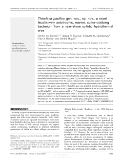 Thioclava pacifica gen. nov., sp. nov., a novel facultatively
