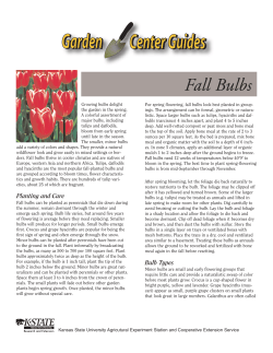 Fall Bulbs - Kansas State University