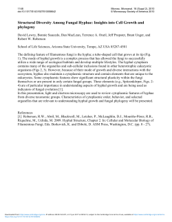 Structural Diversity among Fungal Hyphae