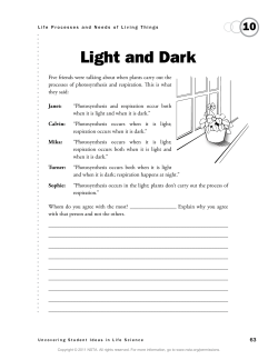 Light and Dark - RPS Cloud Server