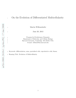 On the evolution of differentiated multicellularity