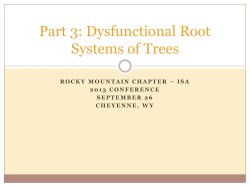 3 Dysfunctional Root Systems of Trees