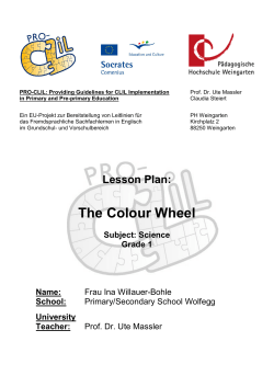 The Colour Wheel