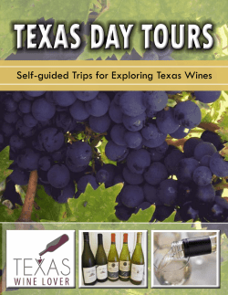 Self-guided Trips for Exploring Texas Wines