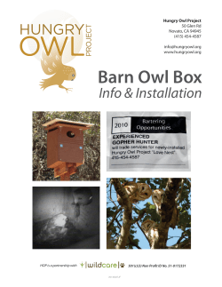 Barn Owl Box - Hungry Owl Project