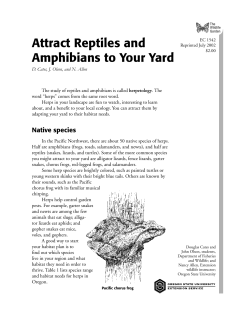Attract Reptiles and Amphibians to Your Yard (Oregon State