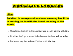 ISHAMPOO terms notes and examples 2016