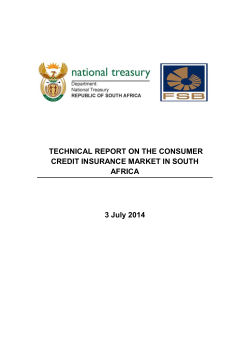 Technical Report on the Consumer Credit
