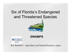 Six of Florida`s Endangered and Threatened Species