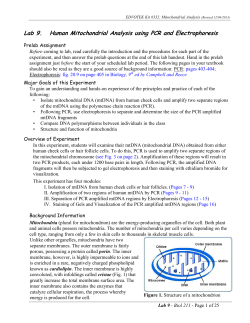 Lab 9. Mitochondrial DNA Analysis using PCR