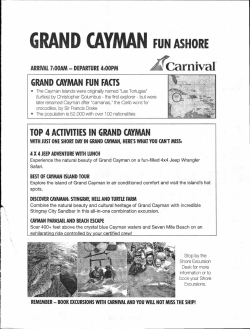 !RAND CAYMAN FUN ASHORE