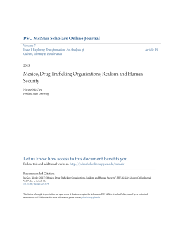 Mexico, Drug Trafficking Organizations, Realism, and