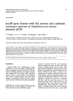 luxAB gene fusions with the arsenic and cadmium resistance