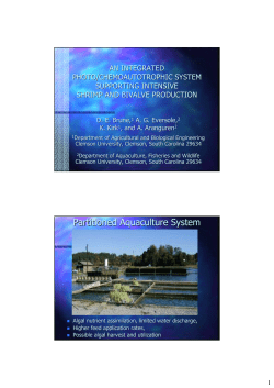 Partitioned Aquaculture System