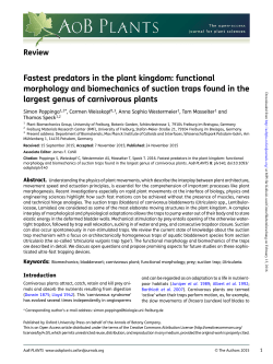 Fastest predators in the plant kingdom: functional morphology and