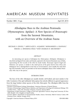 american museum novitates - AMNH Library Digital Repository