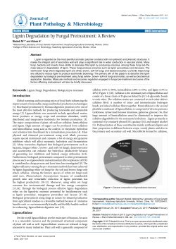 Lignin Degradation by Fungal Pretreatment: A Review
