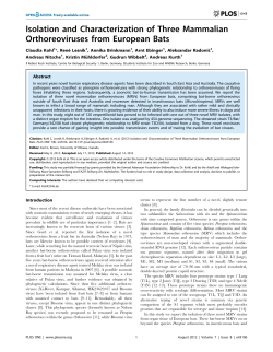 Isolation and Characterization of Three Mammalian