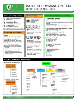 ics organizational structure