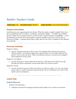 Teacher`s Guide - Discovery Education