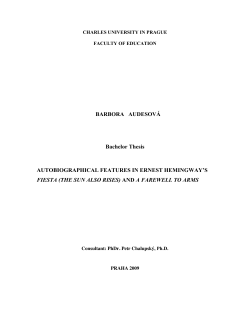 Bachelor thesis
