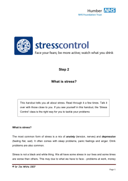 Step 2 - What is stress?
