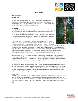 Giraffe Compl ex Cost