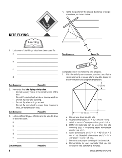 kite flying - Cadet Counselors